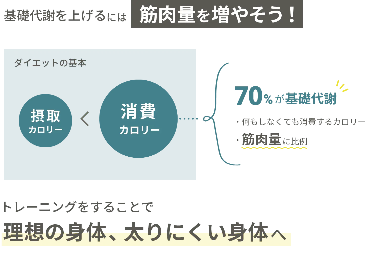 基礎代謝を上げるには、筋肉量を増やす。トレーニングをすることで理想の太りにくい身体へ。